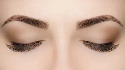 Taller de Cejas Perfectas